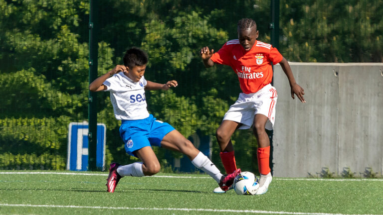 Football Scholarships in Nigeria: Top 15+ Programs That Can Kickstart Your Career